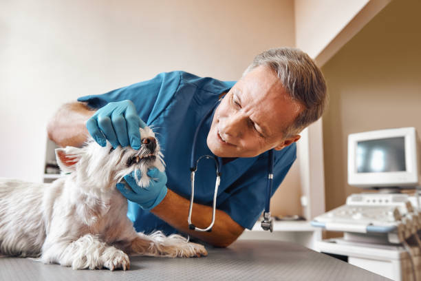 Best Emergency Wisdom Teeth Removal in Dover Beaches North, NJ